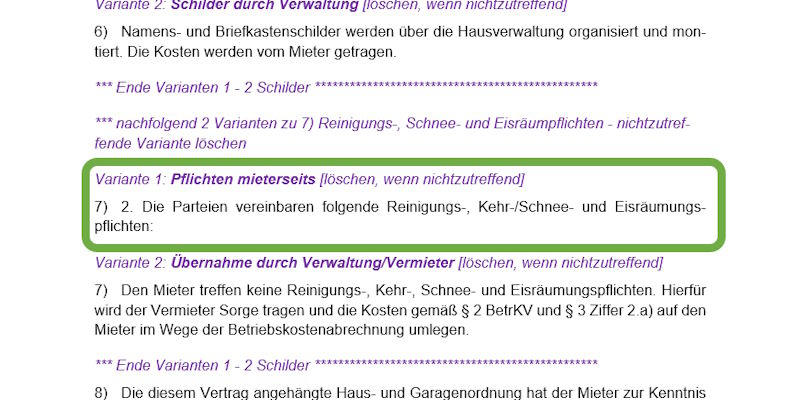 Reinigung Variante 1