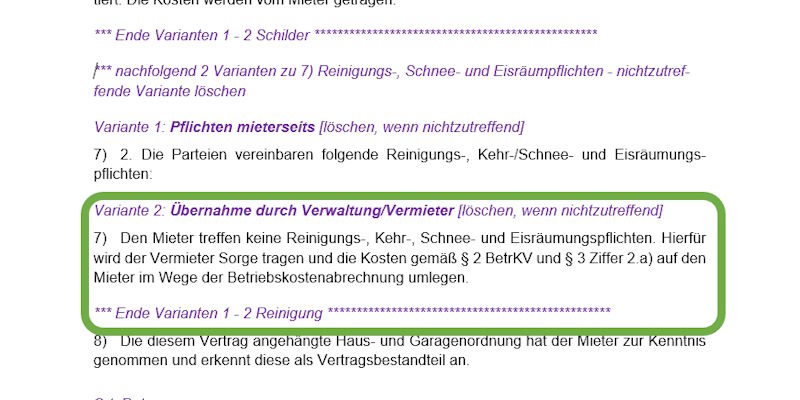 Reinigung Variante 2