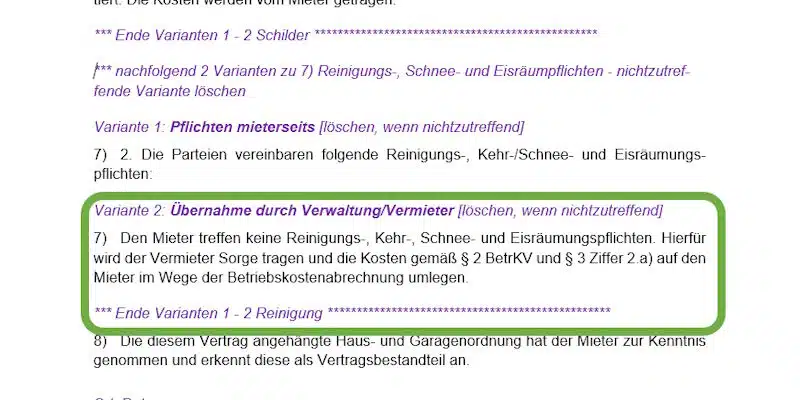 Reinigung Variante 2